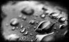 Drops 016
